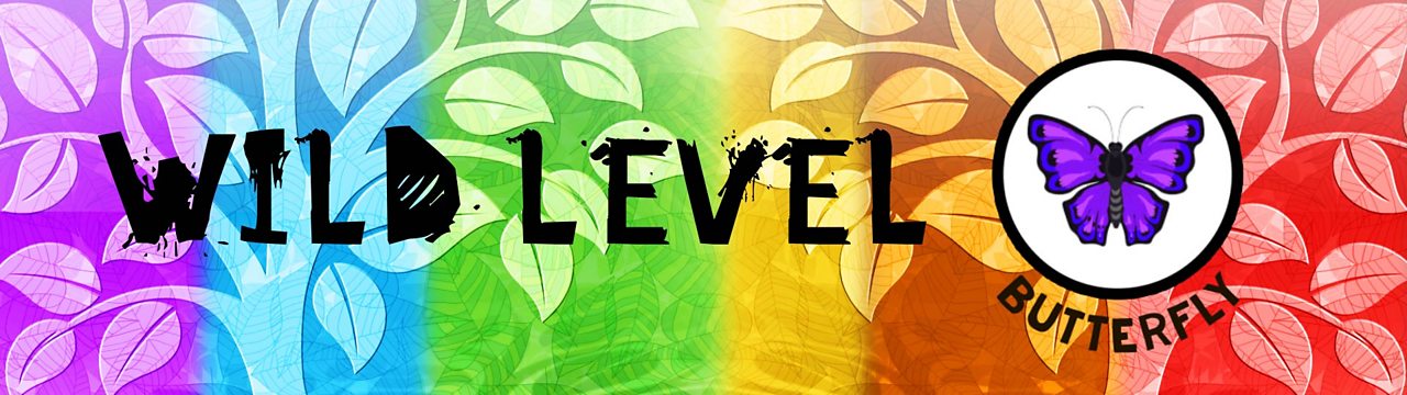 Level 3: Butterfly