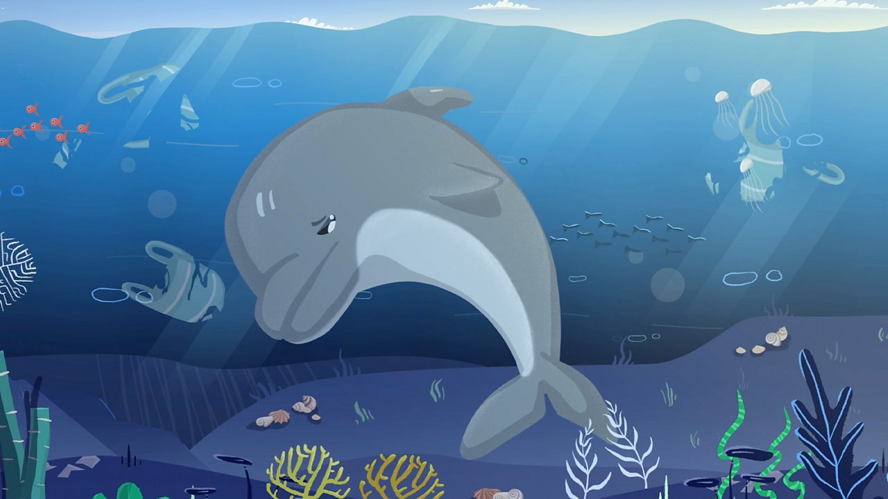 Scotland Sustainability Plastic and sustainability 2nd Level P5