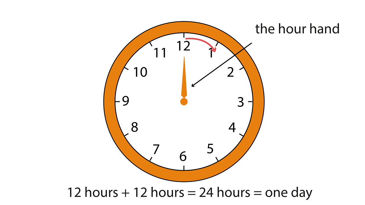 A clock with the hour hand labelled. There are 12 hours on a clock. 12 hours and 12 hours = one day.