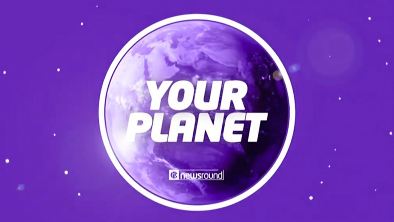 Your Planet: Nature and the environment