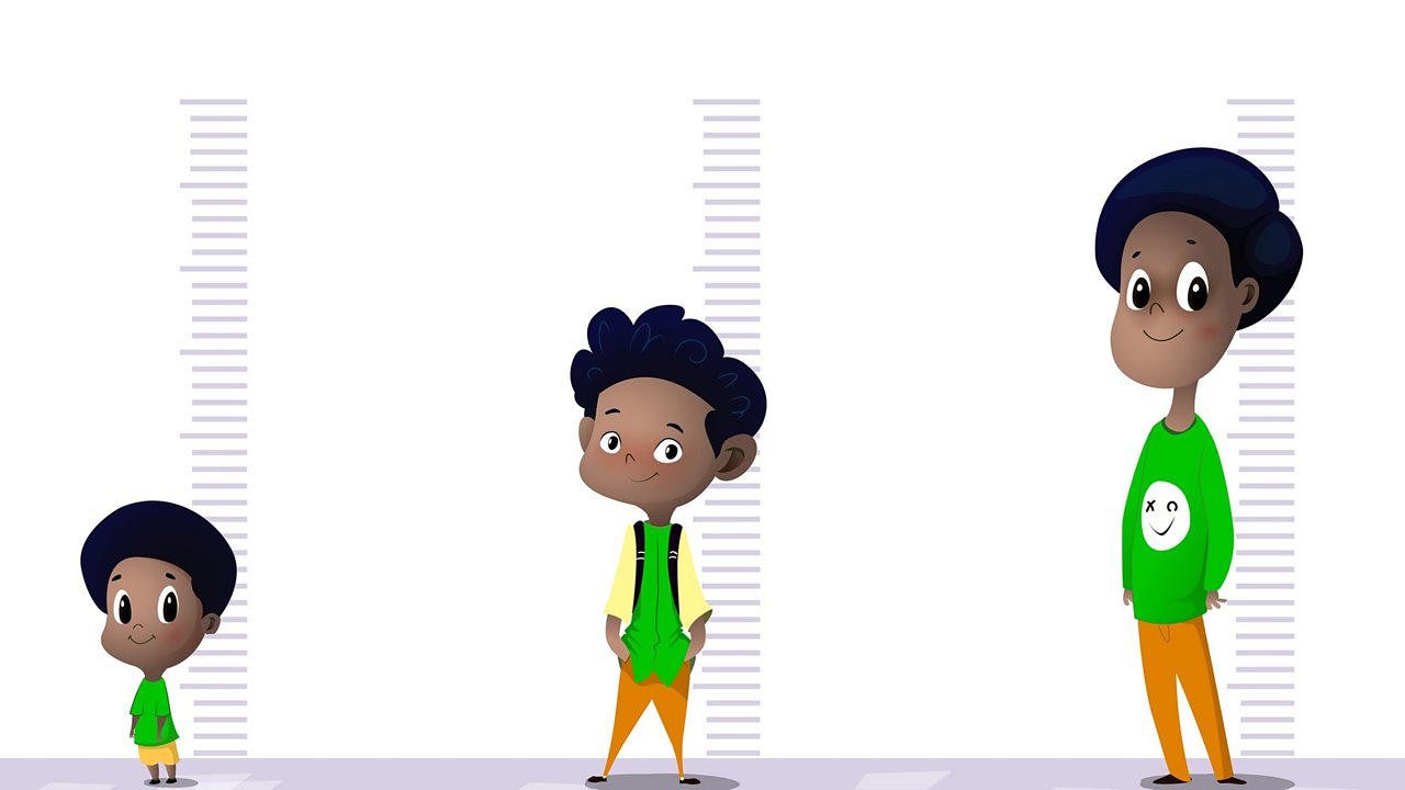 Appropriate metric units BBC Bitesize