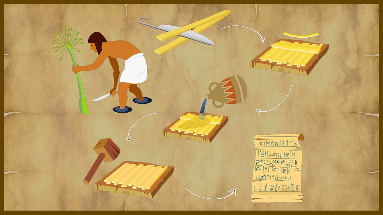 The steps for making papyrus from reeds