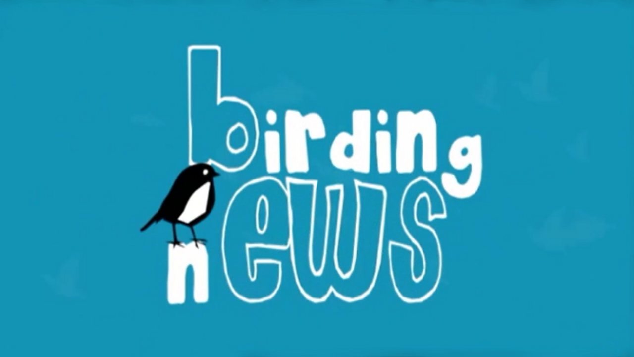 Bbc Schools Science Clips Habitats Clipart