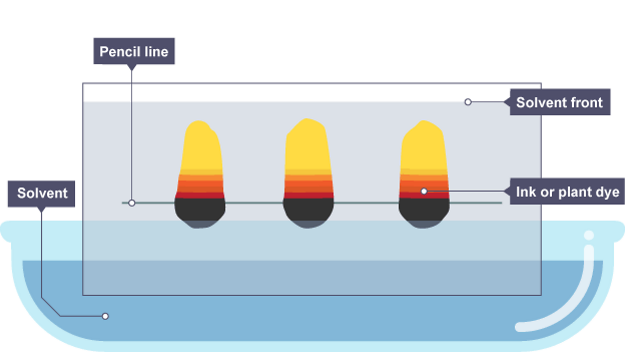 Chromatography guide for KS3 chemistry students BBC Bitesize