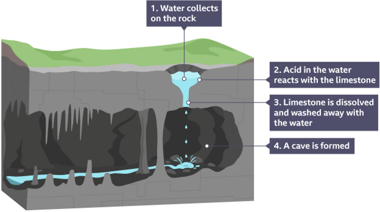 biological weathering diagram