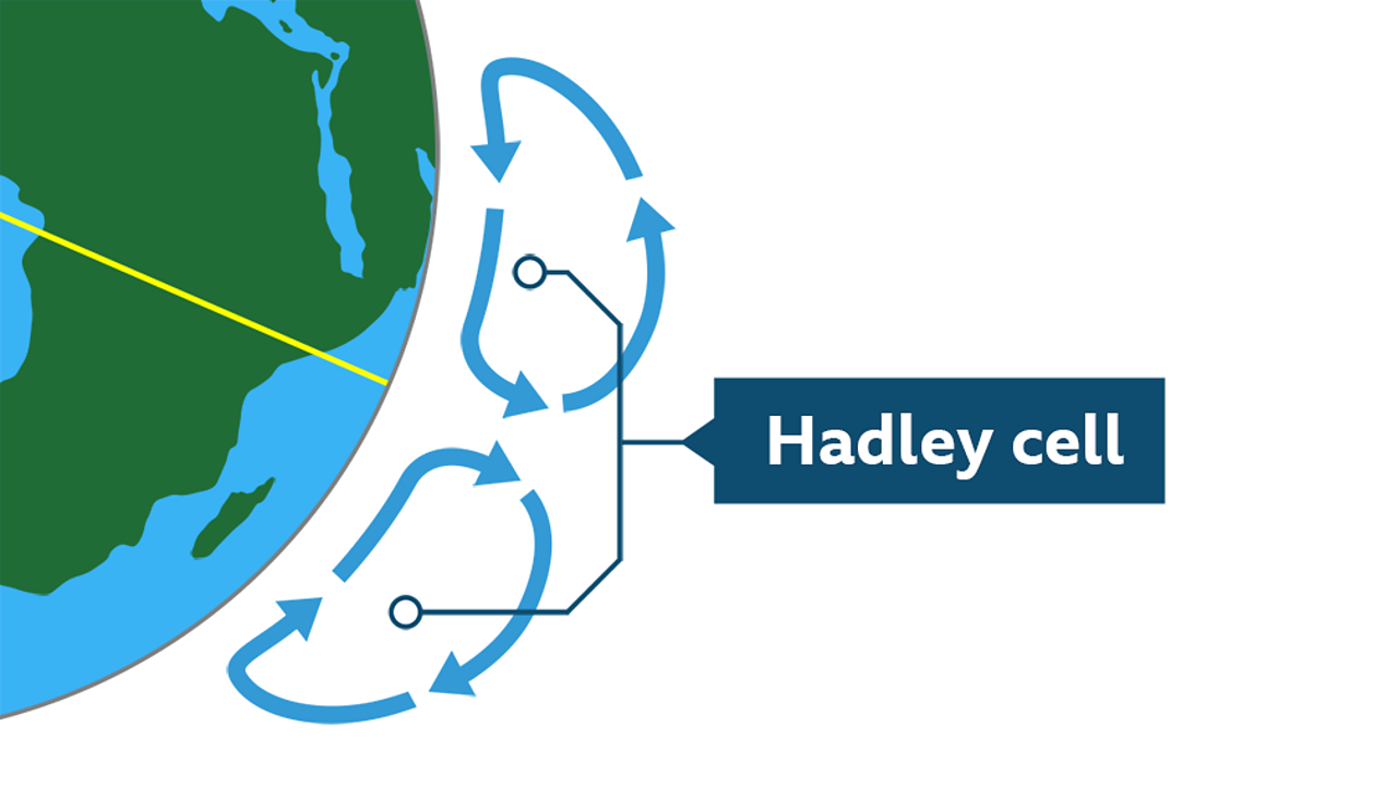 Global biomes guide for KS3 geography students BBC Bitesize