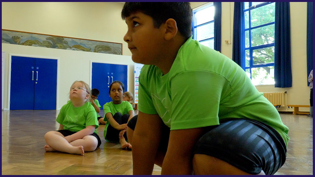 KS1 Seed dispersal Slideshow BBC Teach