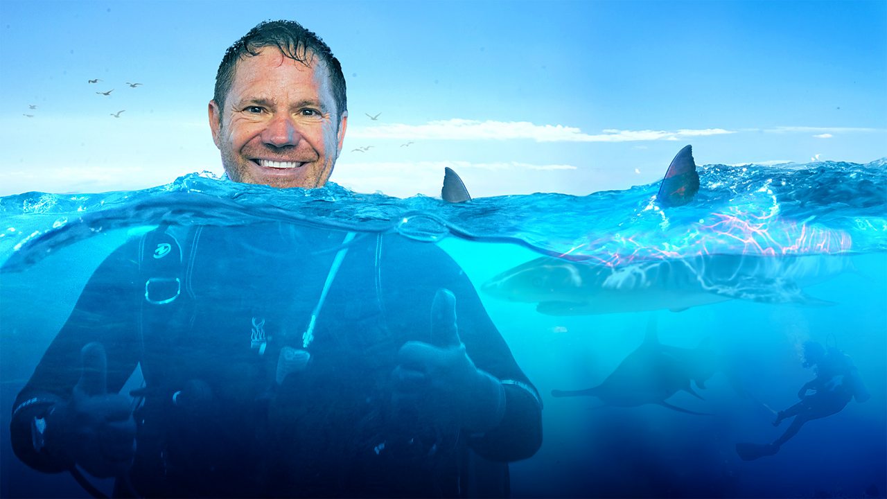 Deadly Mission Shark Science Live Lesson Bbc Teach 