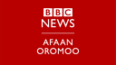 BBC Oromo radio logo