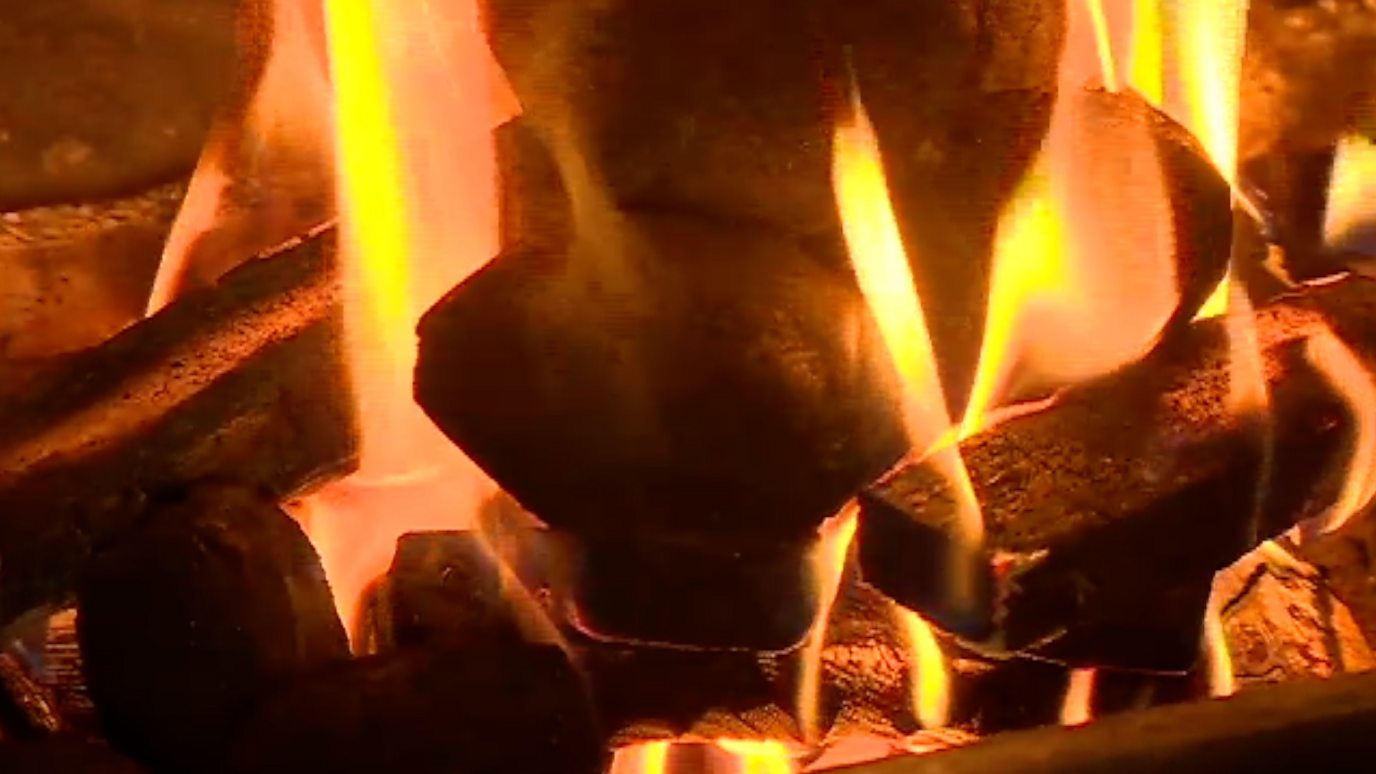 Were Humans Cooking A Million Years Ago BBC Reel