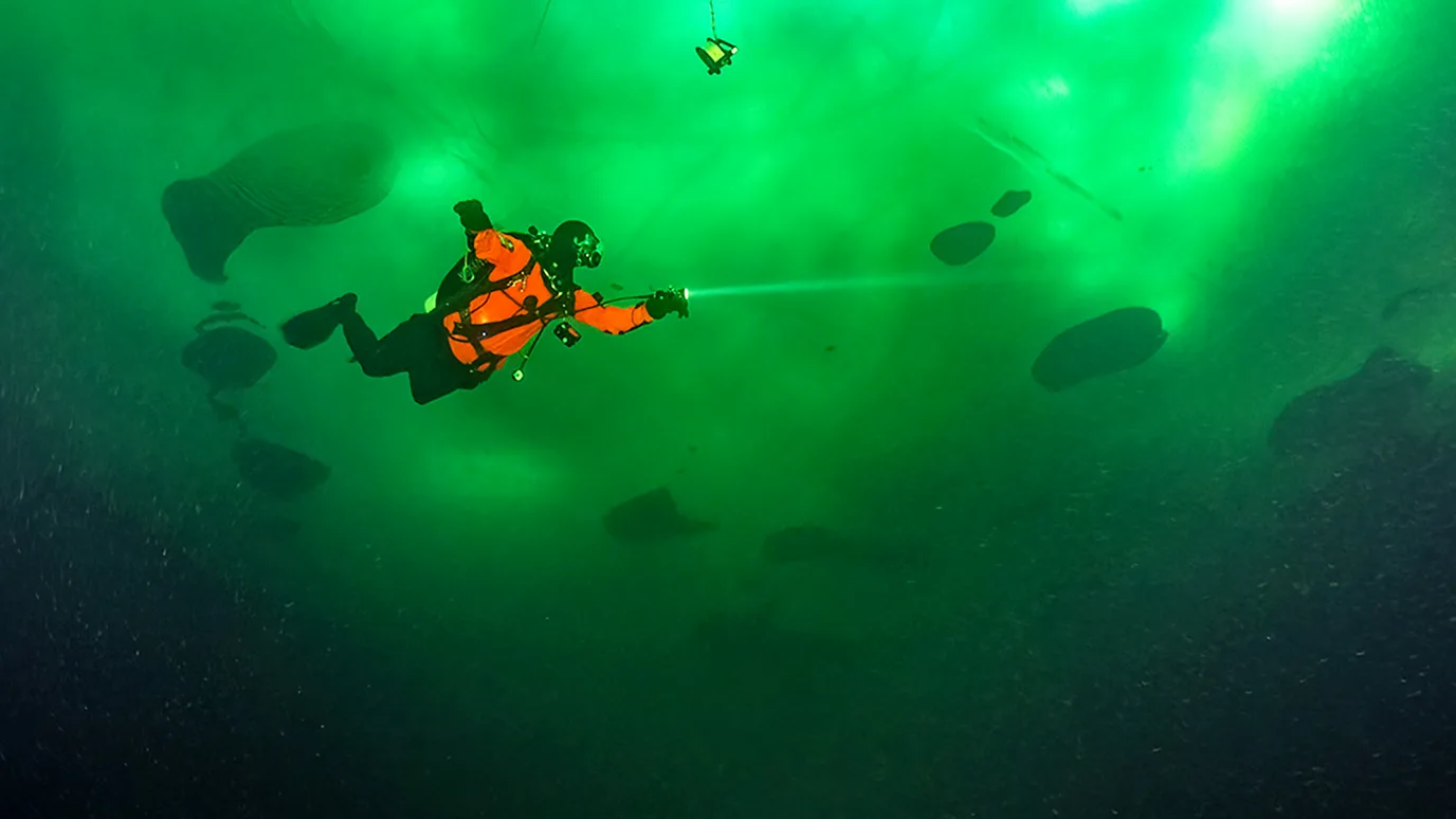 A diver in a red drysuit holding a torch swimming under a ceiling of ice, coloured green by algae (Credit: Edd Stockdale)