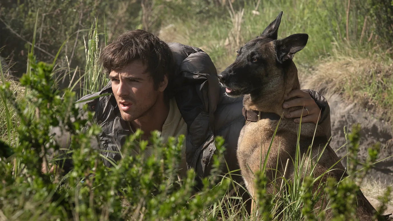 The Dog Stars to One Night Only: 10 of the best films to watch this August