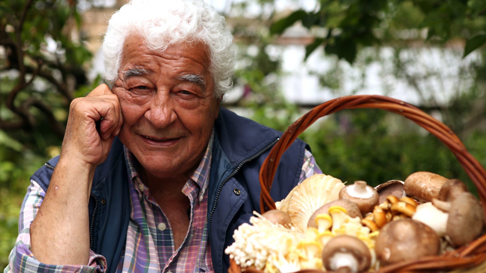 Chicken and mushroom casserole recipe - BBC Food