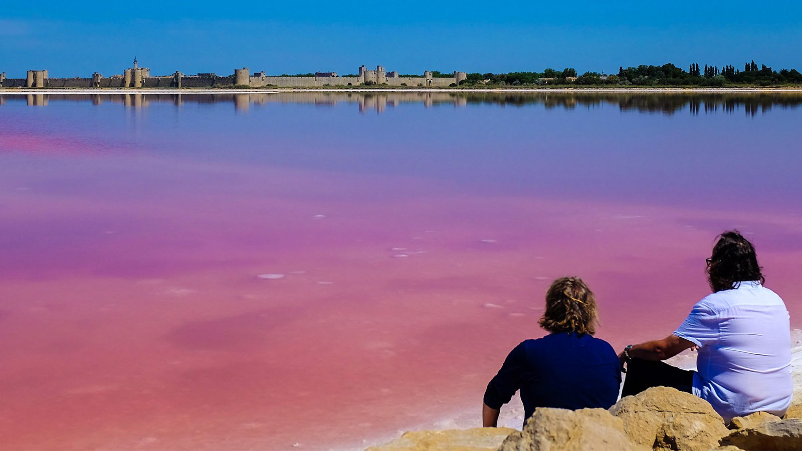 Brandade de morue recipe - BBC Food