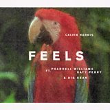 Feels (feat. Pharrell Williams, Katy Perry & Big Sean)