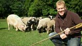 Farmer Of The Year