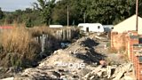 Dale Farm evictions