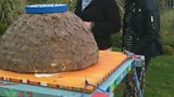 Natural Beekeeping