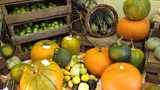 A beautiful display of Halloween colours