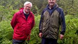 Snowdonia’s Celtic Rainforest
