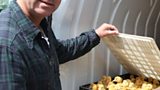 John Torode