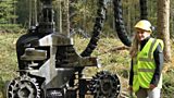 Forests Under Threat