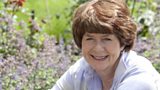 STUDIO GUEST :: PAM AYRES