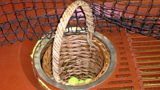 The basket, sunk into the floor, into which the real tennis balls are captured