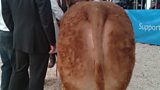 Truro Primestock Show