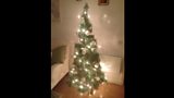 Shelagh's Christmas Tree