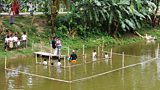Village pond in rural Bangladesh