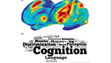 Brain Fashion