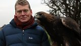 Wildlife crime