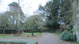 Dower House Garden at Morville