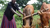 Mrs Dapata in Uganda