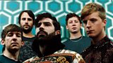 Foals