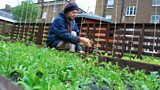 Gardening