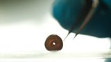 'Amazing' bronze age burial site treasures