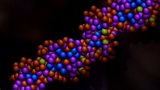 Is junk DNA really rubbish?