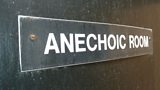 The Anechoic Chamber Room