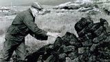 Dòmhnall Aonghais Bhà in