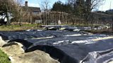 Black plastic to absorb the sun