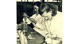Pregnancy Testing - with Toads