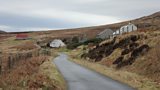 Gleann dail