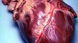 Gene Therapy