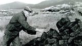 Dòmhnall Aonghais Bhà in