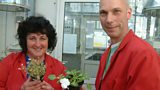 Pippa, Phillip and possibly the only flowering Busy lizzie in the UK!