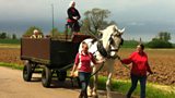 Melvyn visits Northcote Heavy Horse Centre