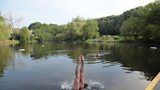 Swimming At Hampstead Heath