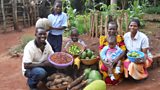 The power of manure